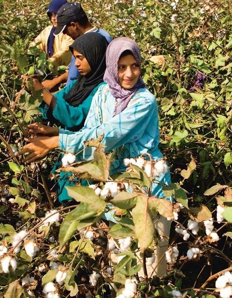 Sustainability at Neoma